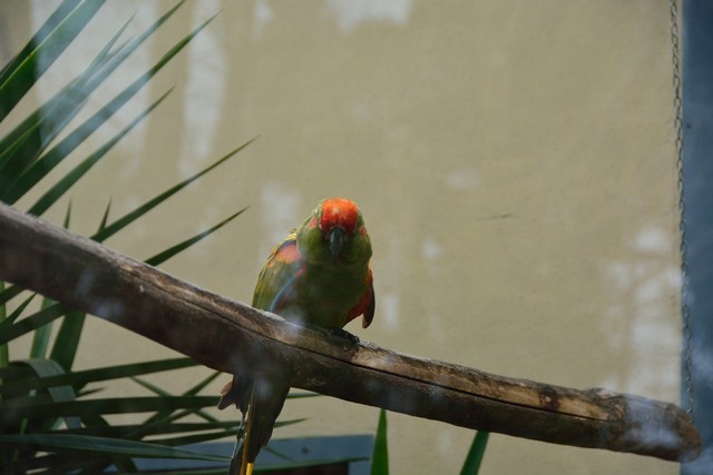 20150326 - Rome - 249